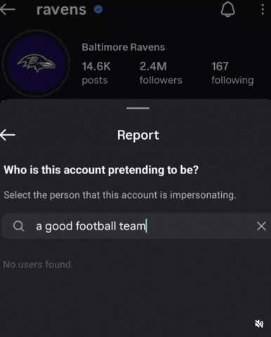 Baltimore Ravens GIF