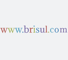 Bri Sul GIF