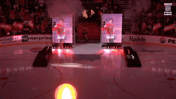 Chicago Blackhawks Hockey GIF
