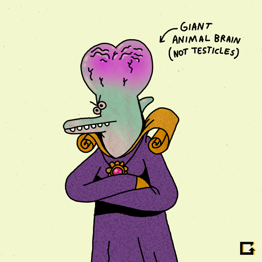 Animatedbrain GIFs Get the best GIF on GIPHY