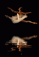 ballerina GIF
