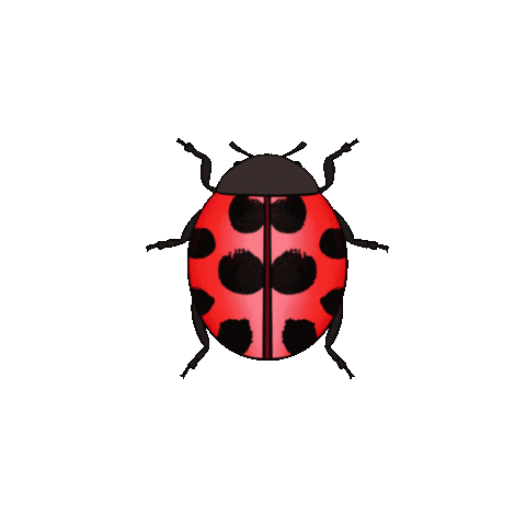 Animated Sticker