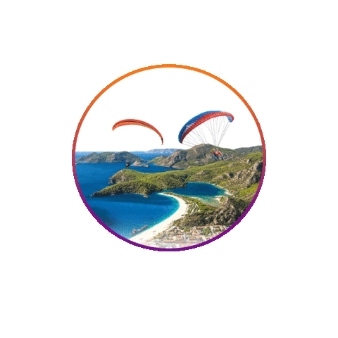 Vane Tour Sticker