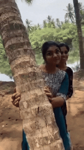 Troll Kerala GIF