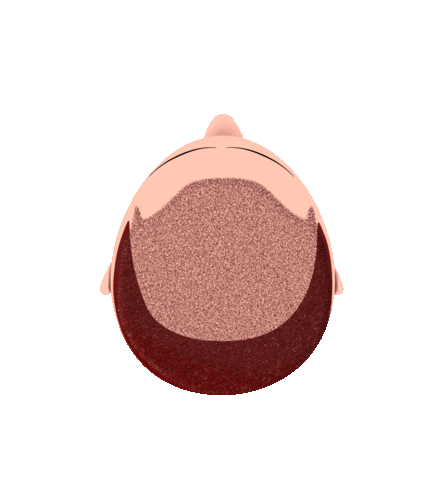 Laser Sticker by Trico Spa