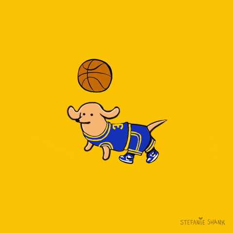 Littlearth Golden State Warriors Dog Cat Mesh Jersey Bandana Pink S M