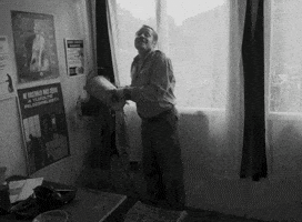 Film Plant GIF