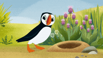 #puffinrock #puffin #rock #papa #jump #spiky #sore #bum GIF by Puffin Rock