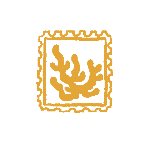 Stamp Coral Sticker by Katoomba Christian Convention