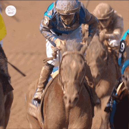 Winner Horses GIF by World Horse Racing