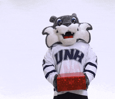 giving new hampshire GIF by University of New Hampshire