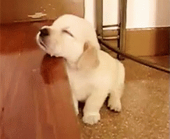 summer day GIF