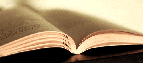 libros romanticos salvaje oeste