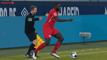 Football Soccer GIF by RB Leipzig