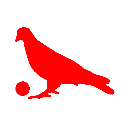 Pigeons Playing Ping Pong Sticker
