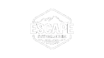 Escape New Caledonia Sticker