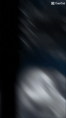 Pga Tour Golf GIF