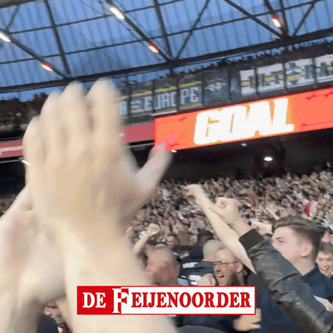 De Kuip Goal GIF by De Feijenoorder