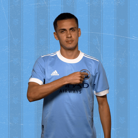 City-badge GIFs - Get the best GIF on GIPHY