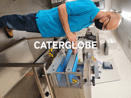 Caterglobe GIF