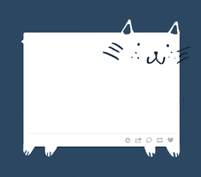 cat post GIF by hoppip
