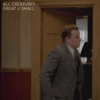 Run Flee GIF by All Creatures Great And Small