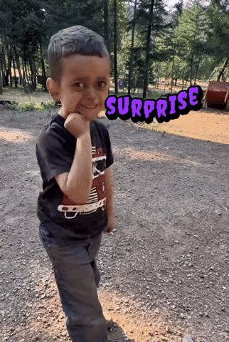 Funny Boy Surprise GIF by ZShredz
