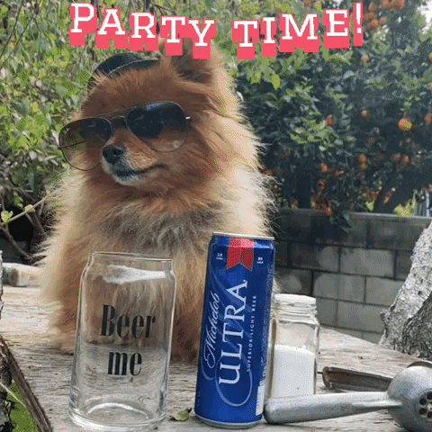 Party Celebrate GIF