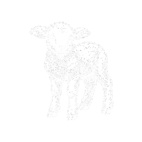 Tamoaqui Sticker by Masiel Mateo