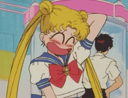 Sailor Moon GIF by Toei Animation