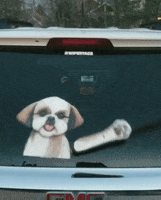 Dog Waving GIF by WiperTags Wiper Covers