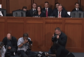 Republican GIF
