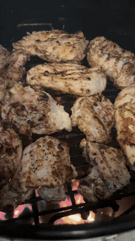 GIF by Pit Barrel Cooker