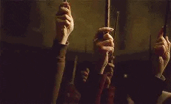 harry potter characters raising their wands which could be made of ashwood