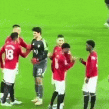 Manchester United Football GIF