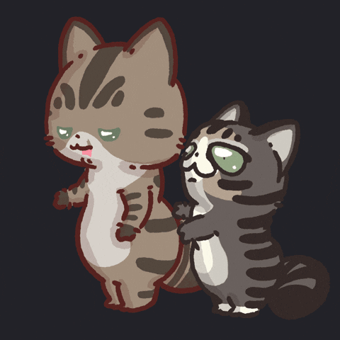 Cat Hello GIF