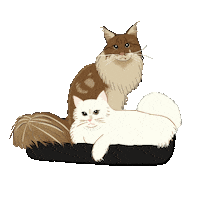 Sahahadesign Sticker