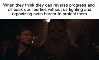 Meme gif. Emile Hirsch as Han Solo turns to "Star Wars"' Chewbacca and says, "What do you think?" Chewy shakes his head. Text, "When they think they can reverse progress and roll back our liberties without us fighting and organizing even harder to protect them."
