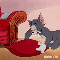 200.gif?cid=f0bdee70vkdp671nsc4268v7qprlodqnqzh0jfht6dlsd4yi&rid=200.gif&ct=g