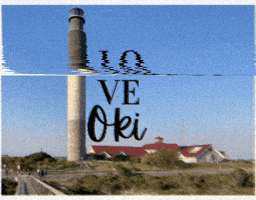 Oak Island Oki GIF