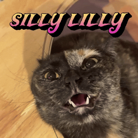 Silly Lilly GIF