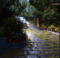 Rain India GIF