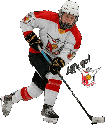 Sursee Womenshockey Sticker by Stalder's Sportsbar