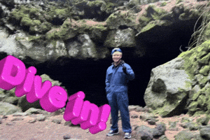 Dive In GIF
