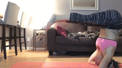 Cat Yoga GIF - Find & Share on GIPHY