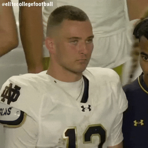 Notre Dame Irish GIF