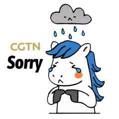 Sad Spring Festival Sticker by CGTN V-Studio