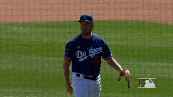 La Dodgers Mlb GIF by Los Angeles Dodgers