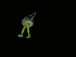 Feld Entertainment Mike GIF by Disney On Ice