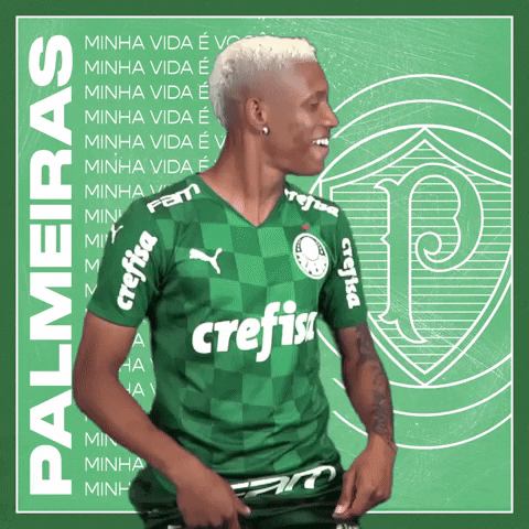 Dance Soccer GIF by SE Palmeiras